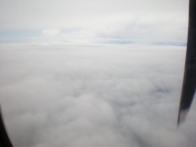 P7230114_resize.JPG